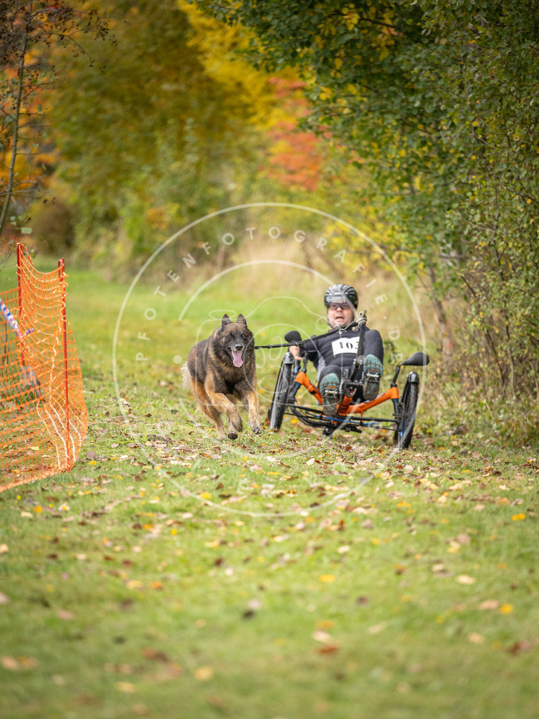 Pfotenfotografie_DV3A3521 | Hundefotografie, Tierfotograf, Pfotenfotografie, Fotoshooting Hund, Hunde Portrait, Hundesport, Hundeportraits, Heideshooting, Hunde, Sportfotograf, Hundefotograf, Turnierhundsport, THS,  - Realisiert mit Pictrs.com