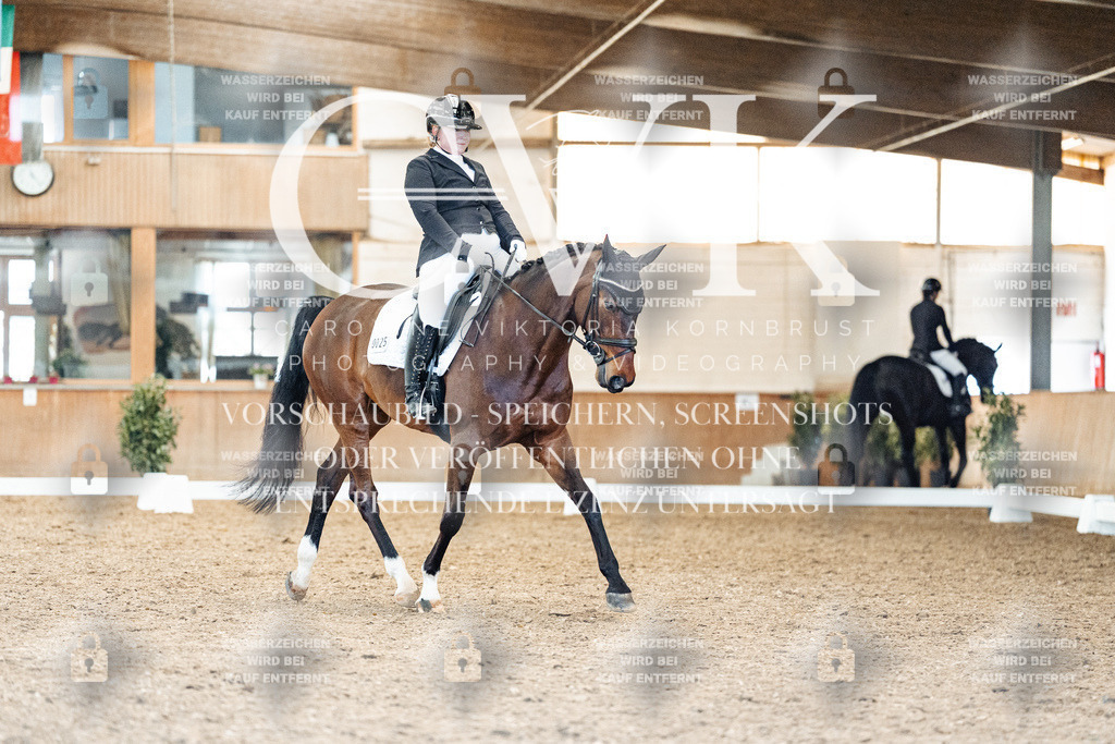 CK909393 | Turnierfotografie Pferdefotografie Trier Rheinland-Pfalz Pferdesport Reitsport Tierfotografie Sportfotografie Pferdevideo Pferdevideografie Equestrianvideography equestrianphotography  - Realisiert mit Pictrs.com