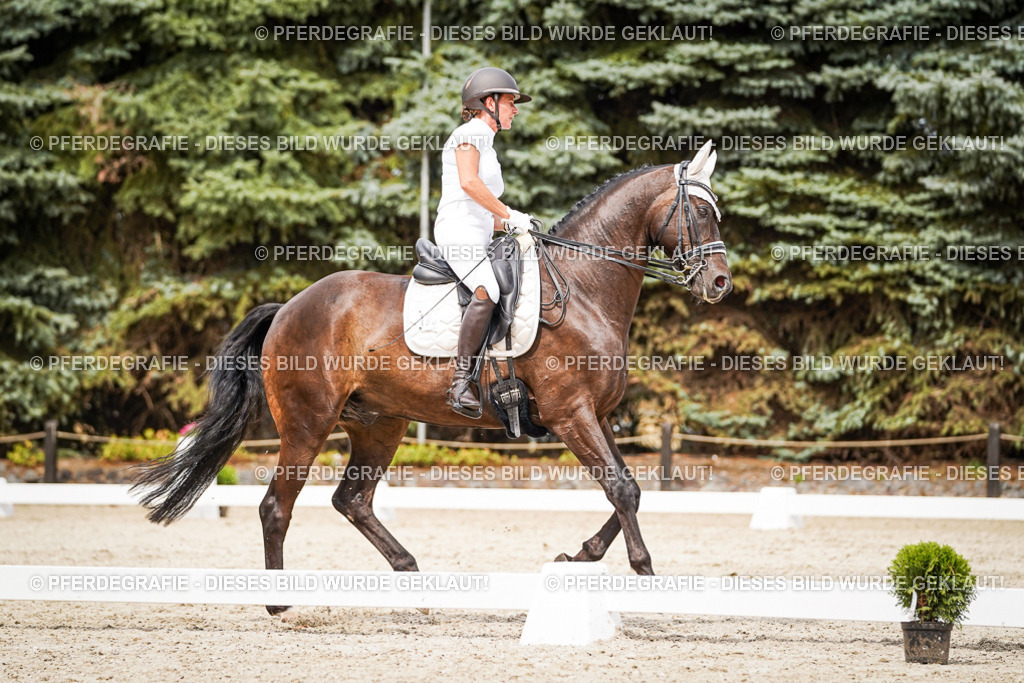 DSC06377 | Pferdegrafie