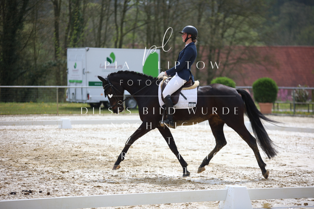 IMGT2699 | pl-fotografie