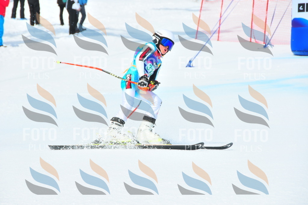 DSC_2895 | holidayphoto