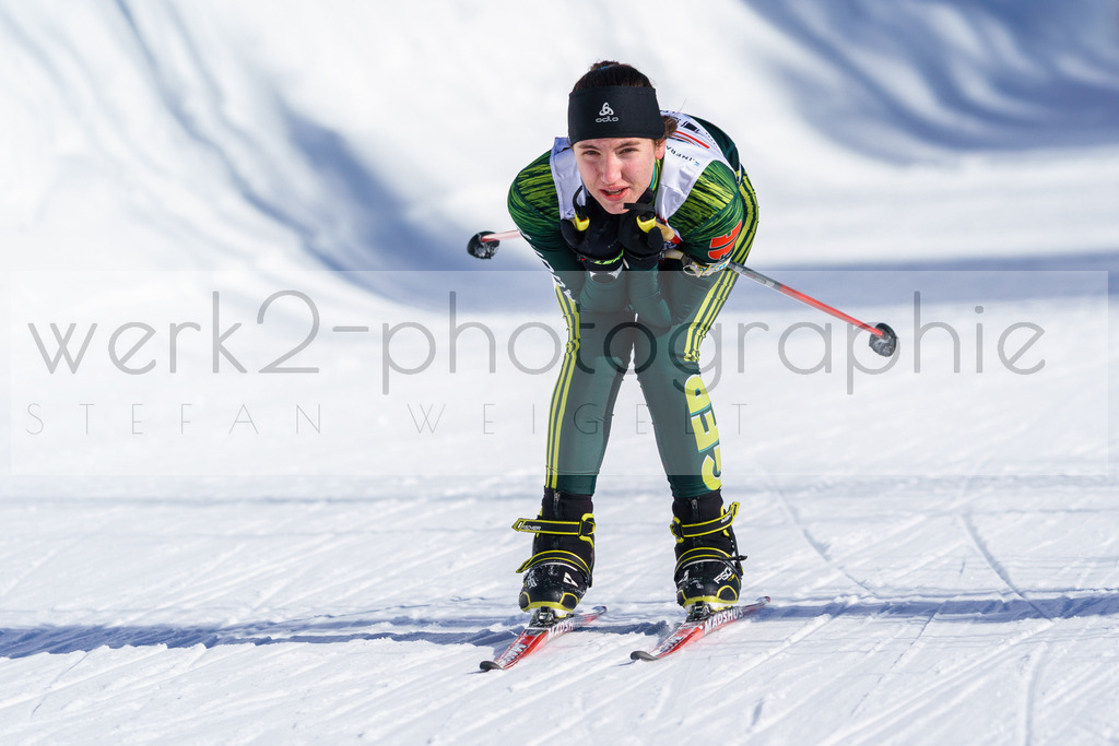 DSC Arber | Bayerischer Wald am 9. bis 12. Februar 2023
