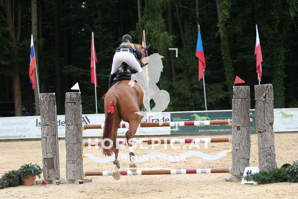 DL2Q2570 | Willkommen bei Brunnmayr - Design & Fotografie – Ihrem Spezialisten für Reitturniere und Pferdeveranstaltungen in Oberösterreich, Salzburg und Bayern! Seit über 17 Jahren sind wir leidenschaftlich dabei.