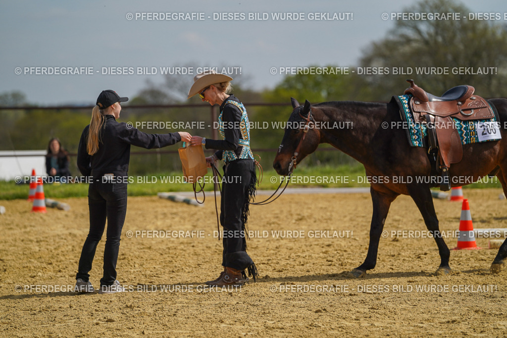 DSC04262 | Pferdegrafie