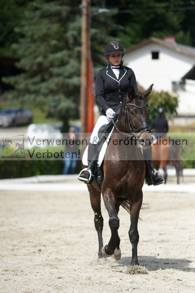 DSC05345 | equestrian-live-com
