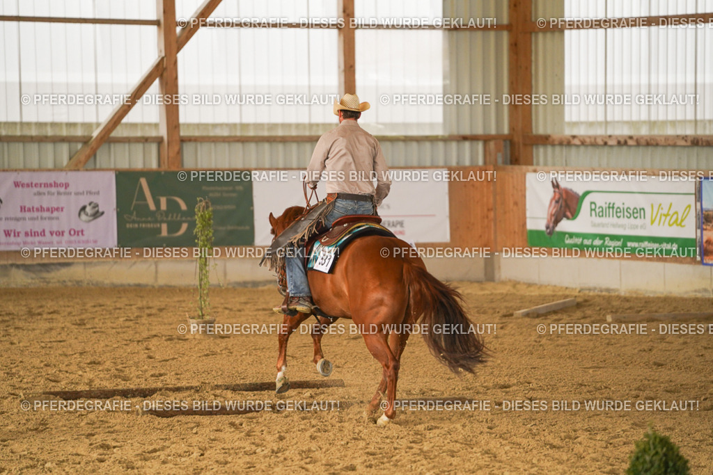 DSC02935 | Pferdegrafie