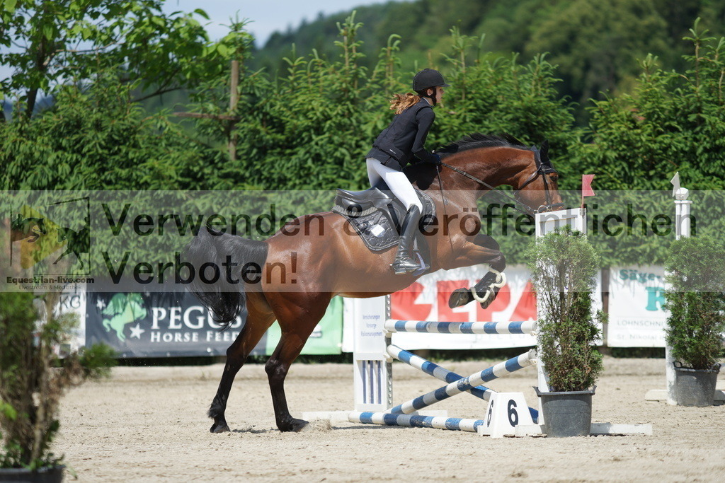DSC06415 | equestrian-live-com