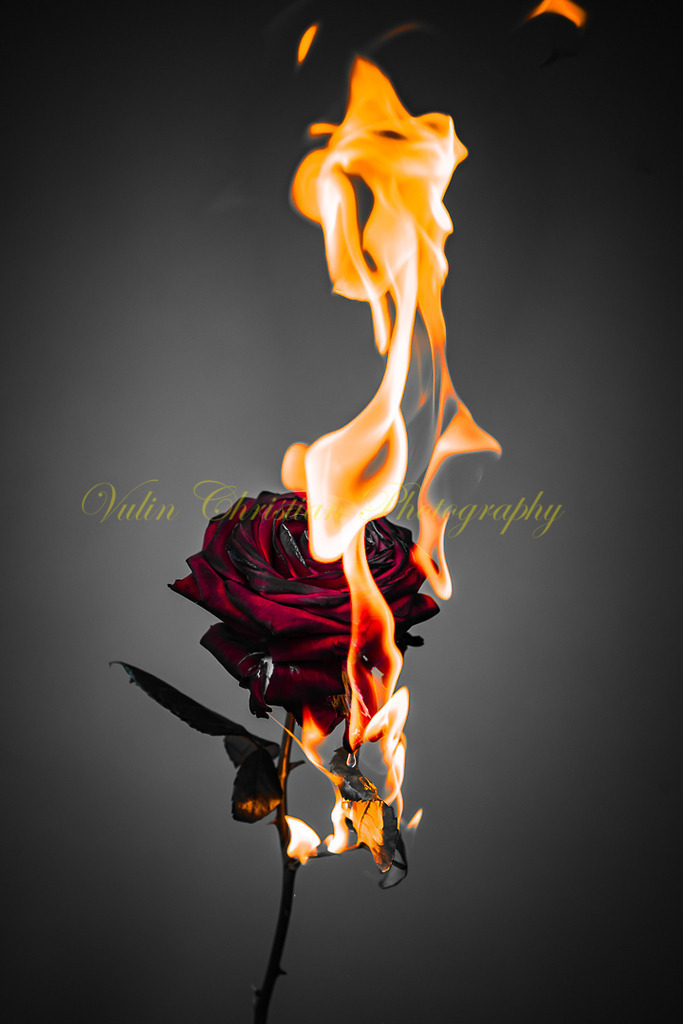 P 75 | Christian Vulin  - Realisiert mit Pictrs.com