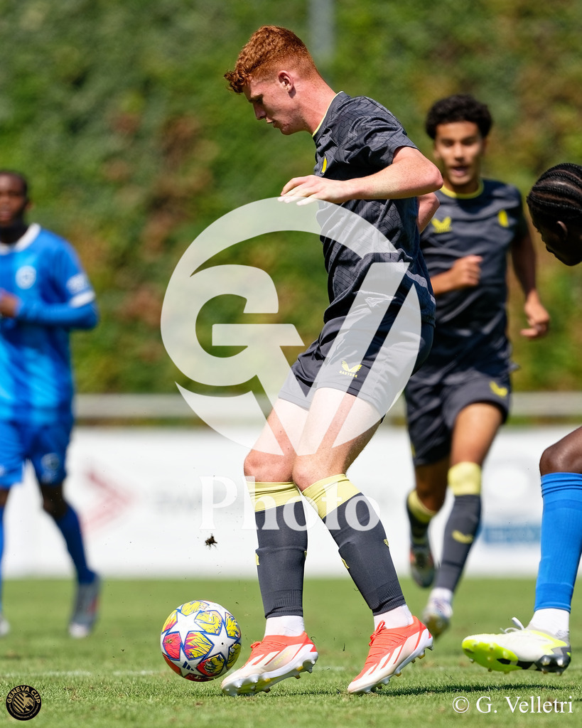 DZ9_5387 | Velletri Photo