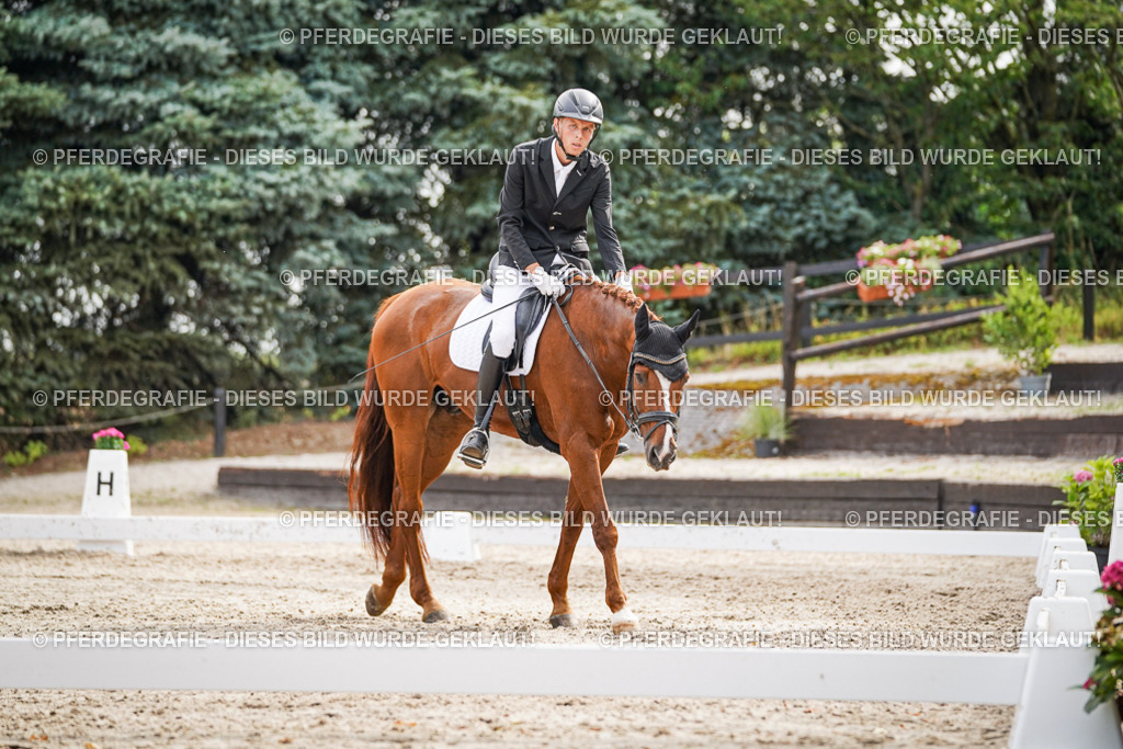 DSC01613 | Pferdegrafie