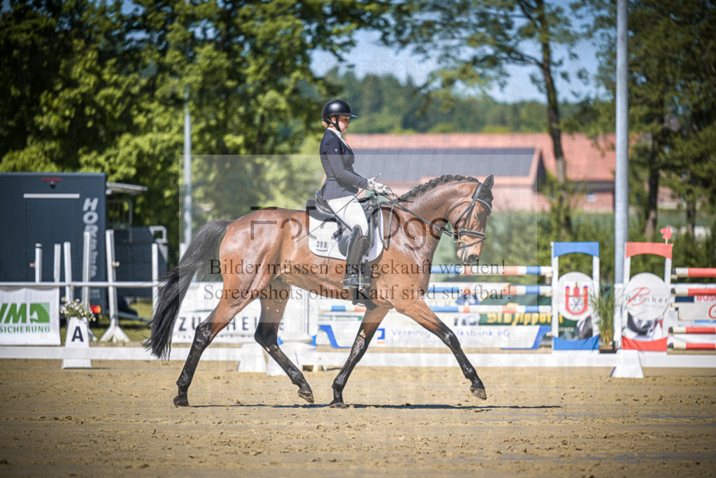 DOS_5547 | Entdecke hochwertige Reitturnierfotos von Foto Oger. Professionell, emotional und authentisch – jetzt Lieblingsmomente im Shop bestellen.Deutschlandweite Turnierfotografie. - Realisiert mit Pictrs.com