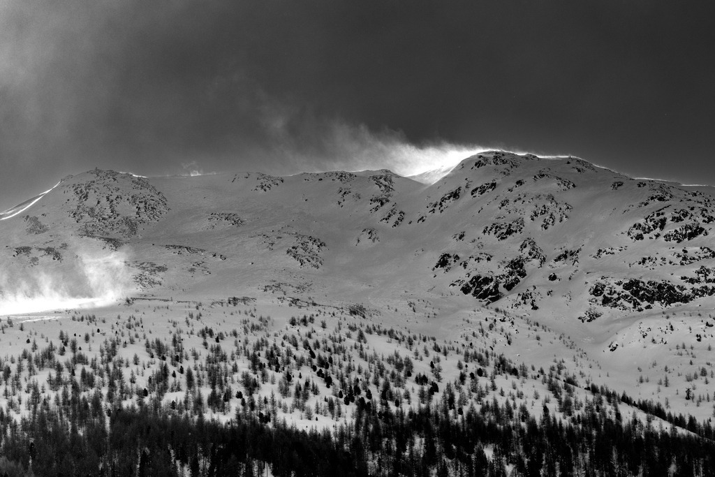 2024_01_23 A7V03197 | bridgeman - Realisiert mit Pictrs.com