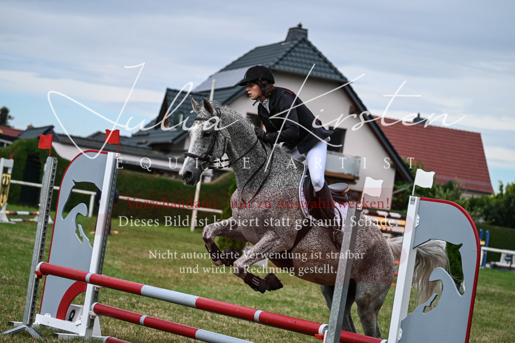 DSC_8347 | Pferde- und Turnierfotografie in Westsachsen. Pferdeportraits, Auftragszeichnungen und intuitive Kunst.