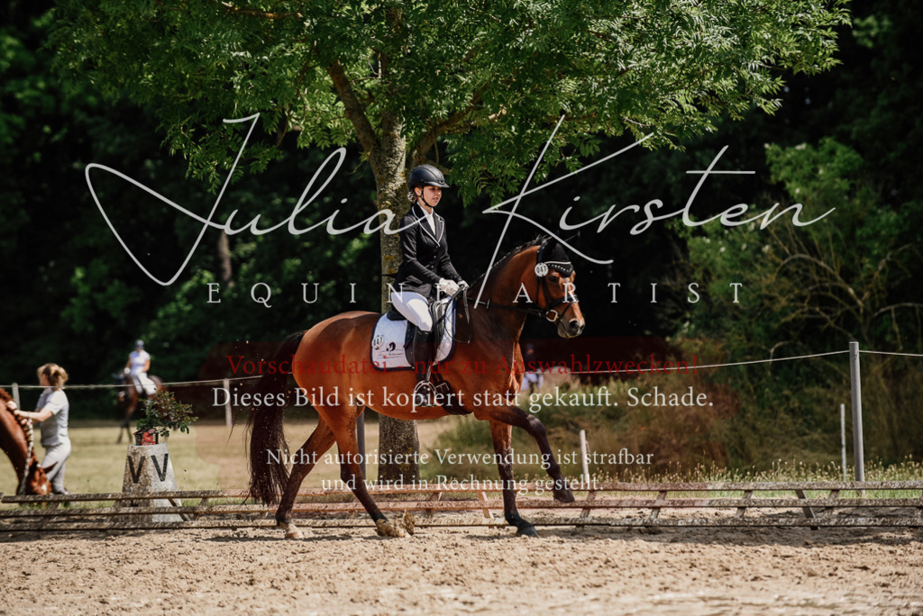 DSC_0943 | Pferde- und Turnierfotografie in Westsachsen. Pferdeportraits, Auftragszeichnungen und intuitive Kunst.