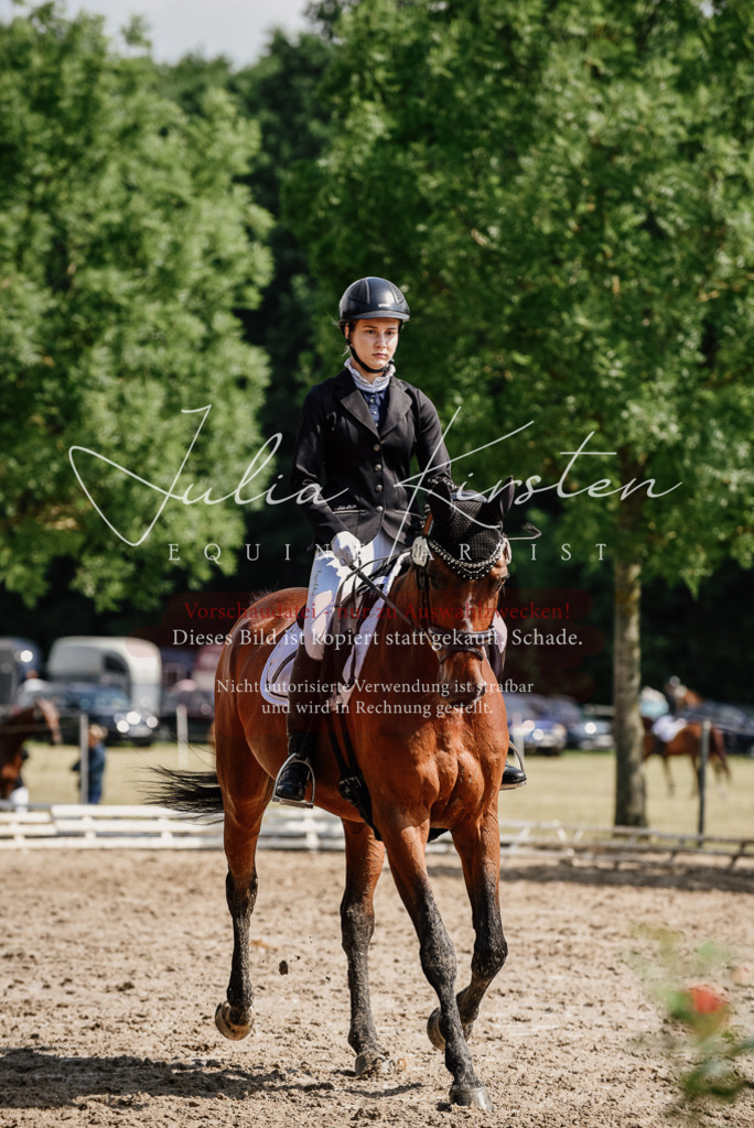 DSC_0470 | Pferde- und Turnierfotografie in Westsachsen. Pferdeportraits, Auftragszeichnungen und intuitive Kunst.