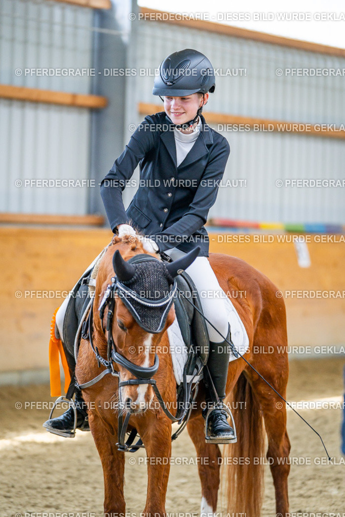 DSC03828 | Pferdegrafie