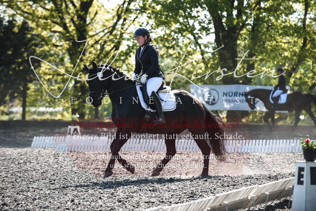DSC_8824 | Pferde- und Turnierfotografie in Westsachsen. Pferdeportraits, Auftragszeichnungen und intuitive Kunst.