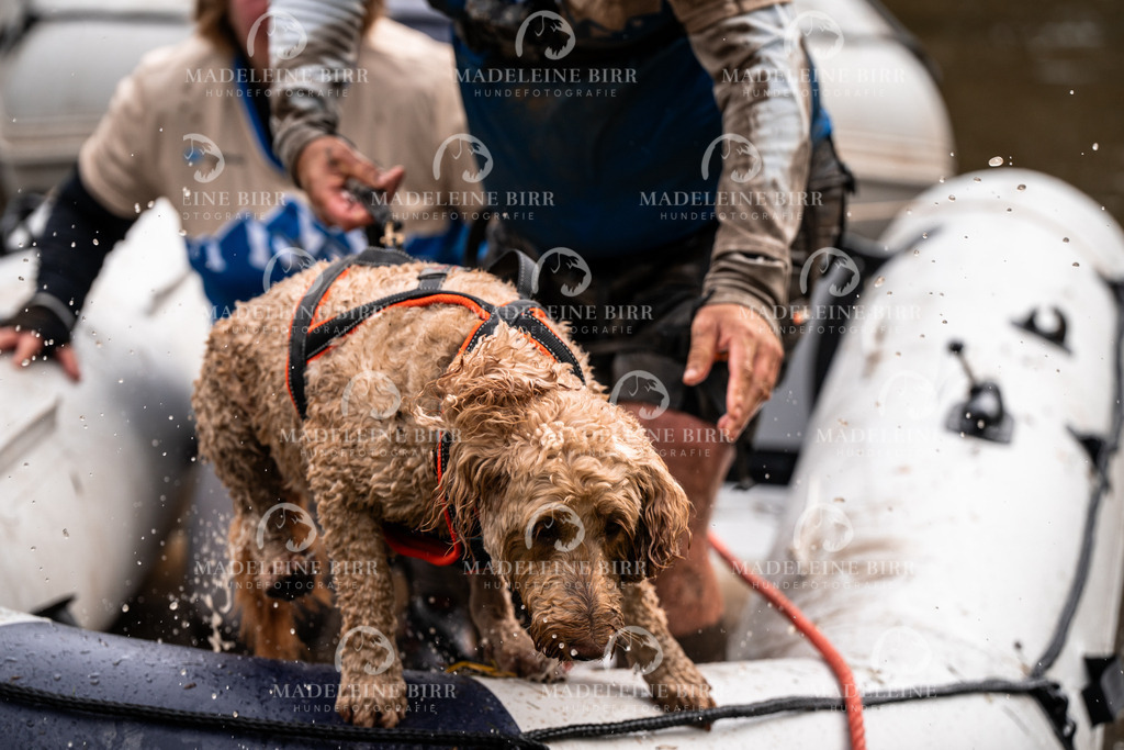 madeleinebirr-fotografie2025.campcanis.9-10Uhr-55 | hundefotografie-birr