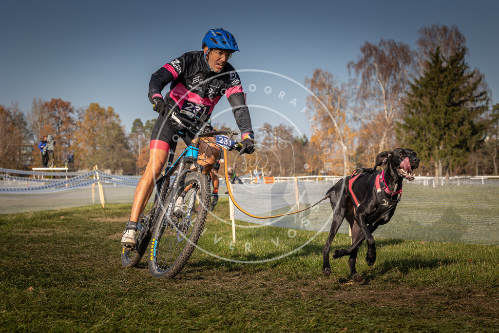 CaniXpix_0L8A7826 | Hundefotografie, Tierfotograf, Pfotenfotografie, Fotoshooting Hund, Hunde Portrait, Hundesport, Hundeportraits, Heideshooting, Hunde, Sportfotograf, Hundefotograf, Turnierhundsport, THS,  - Realisiert mit Pictrs.com