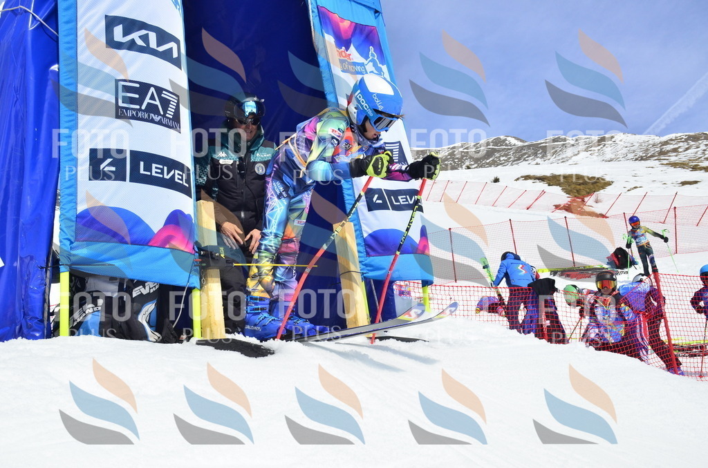 _ELE1616 | holidayphoto