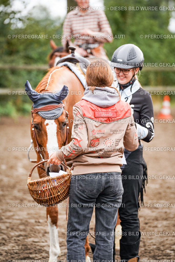 DSC04225 | Pferdegrafie