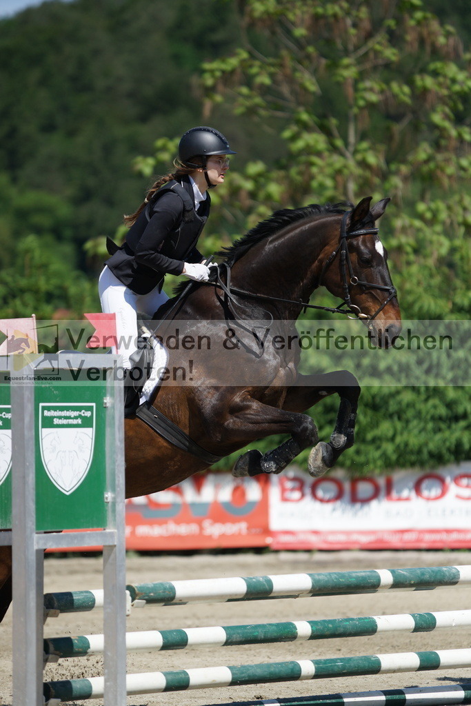 DSC06239 | equestrian-live-com