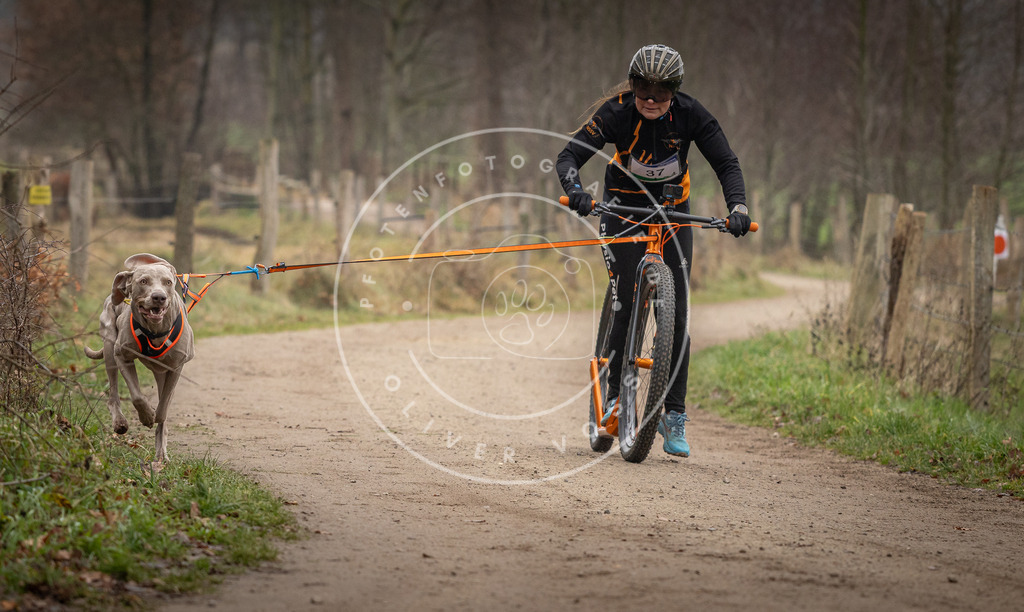 Pfotenfotografie_DV3A2472 | Hundefotografie, Tierfotograf, Pfotenfotografie, Fotoshooting Hund, Hunde Portrait, Hundesport, Hundeportraits, Heideshooting, Hunde, Sportfotograf, Hundefotograf, Turnierhundsport, THS,  - Realisiert mit Pictrs.com