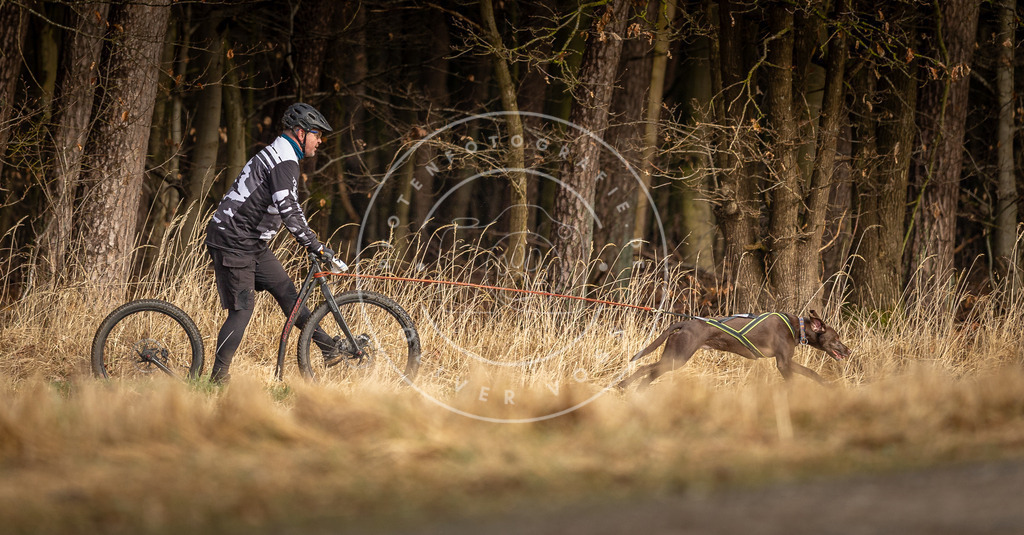 DV3A3570 | Hundefotografie, Tierfotograf, Pfotenfotografie, Fotoshooting Hund, Hunde Portrait, Hundesport, Hundeportraits, Heideshooting, Hunde, Sportfotograf, Hundefotograf, Turnierhundsport, THS,  - Realisiert mit Pictrs.com