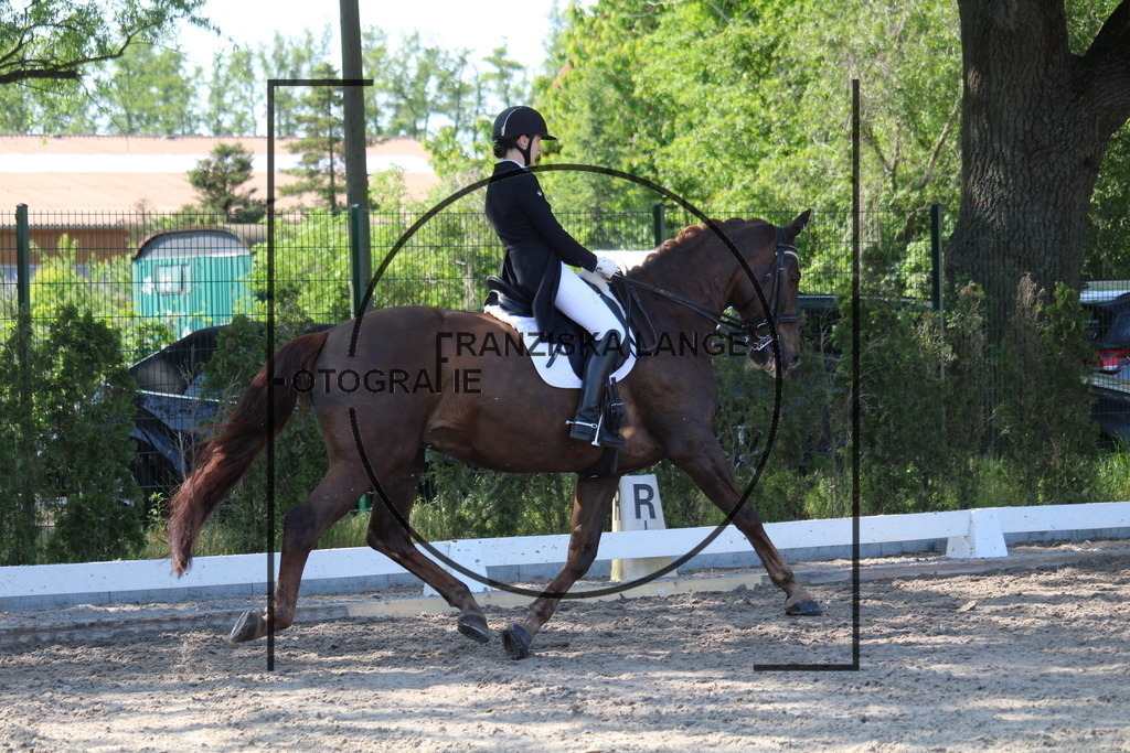 IMG_5512 | franziskalange - Realisiert mit Pictrs.com