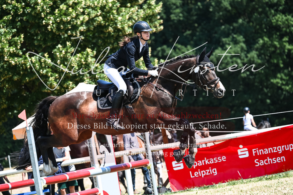 DSC_0439 | Pferde- und Turnierfotografie in Westsachsen. Pferdeportraits, Auftragszeichnungen und intuitive Kunst.