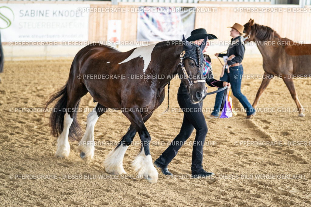 DSC07673 | Pferdegrafie