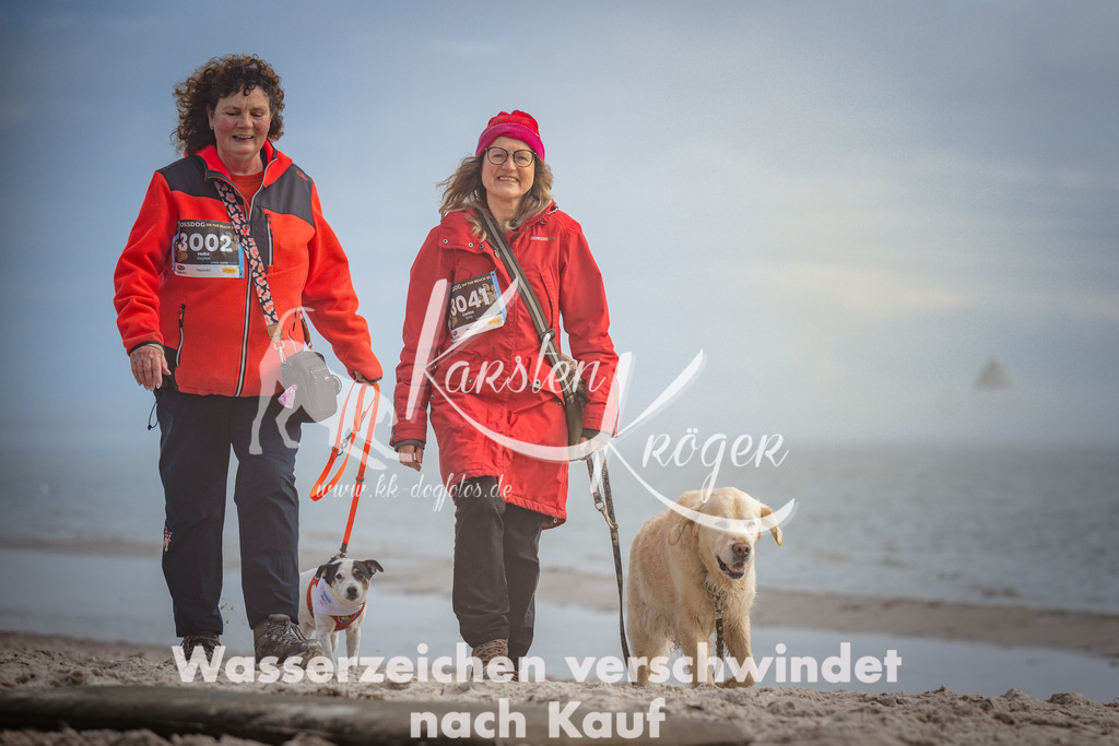 1201_ZZ93649 | kk-dogfotos
