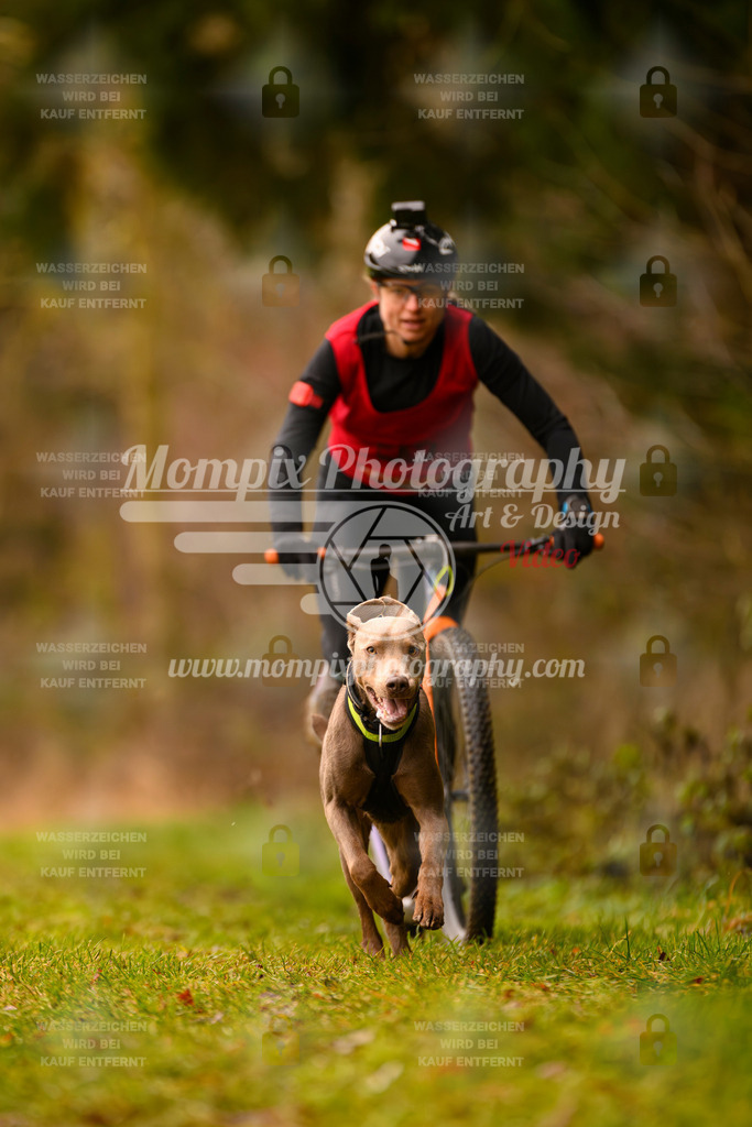MompixPhotography_2SSTSSBW_2025_SO_Scooter-29 | PayLife