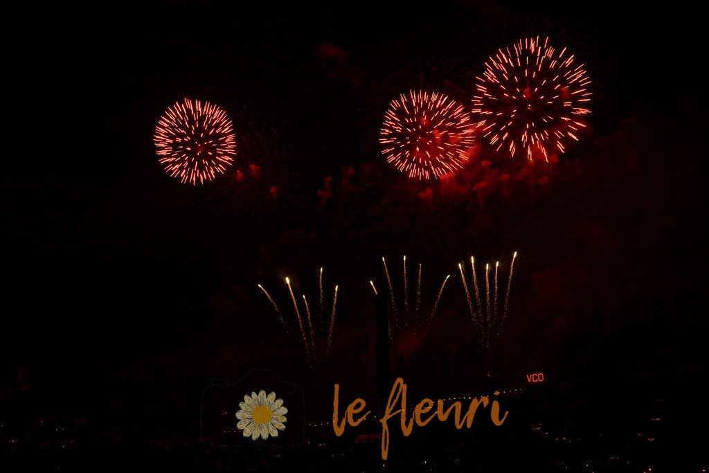 Vogelherdclub | Dies ist der Shop von Florian Blum - le fleuri. Langenthal, Bern, Schweiz. Sie können hier meine oder ihre eigenen Fotos als Fotoprodukte kaufen. Tassen, Schlüsselanhänger, Taschen etc. können Sie hier gestalten.  - Realisiert mit Pictrs.com