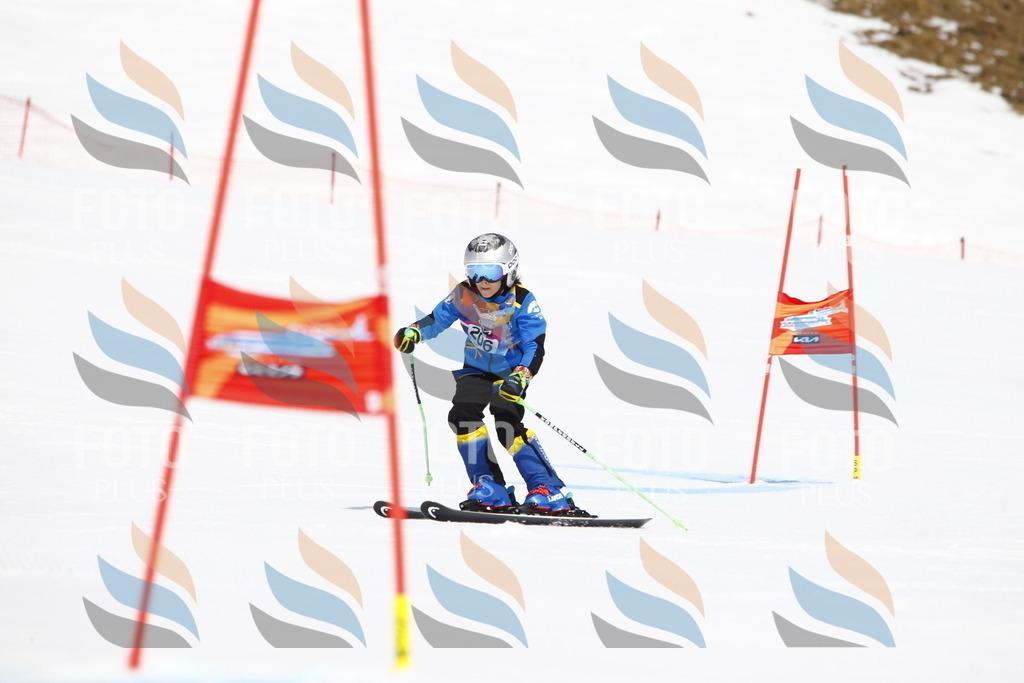 _U3G5338 | holidayphoto