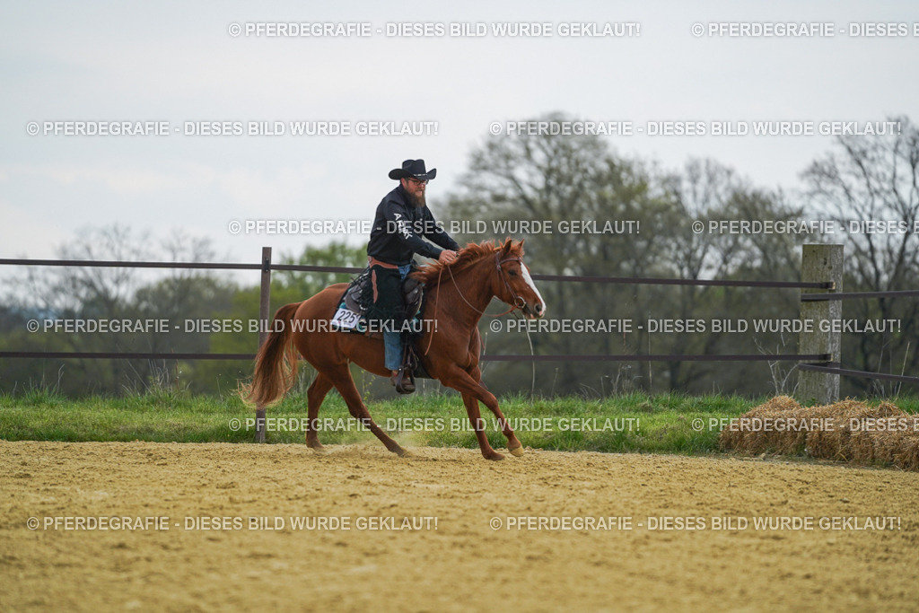 DSC08237 | Pferdegrafie