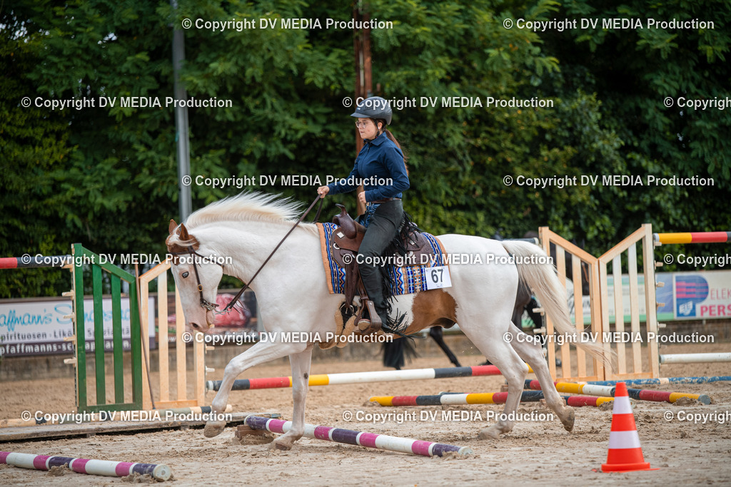 ZS3_9315 | dv-media-shop - Realisiert mit Pictrs.com