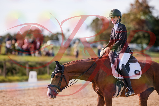2026_10_03_Siefer-Hof_133324_Z81_92271368 | Professionelle Reitsport-, Turnier- und Eventfotografie von Robert Broda. Galerien mit ausgewählten und bearbeiteten Bildern direkt online ansehen und bestellen.