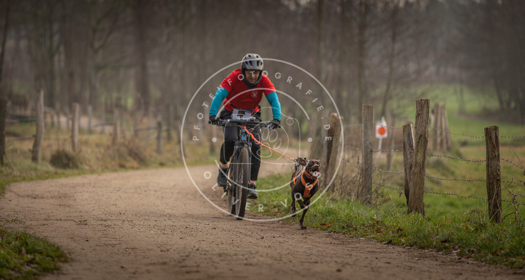 Pfotenfotografie_DV3A1863 | Hundefotografie, Tierfotograf, Pfotenfotografie, Fotoshooting Hund, Hunde Portrait, Hundesport, Hundeportraits, Heideshooting, Hunde, Sportfotograf, Hundefotograf, Turnierhundsport, THS,  - Realisiert mit Pictrs.com