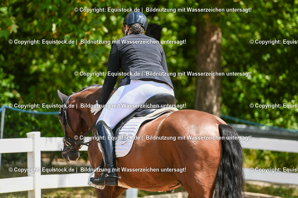 20230716_03_Dressurprfg. Kl.L - Tr._0134 | equistock