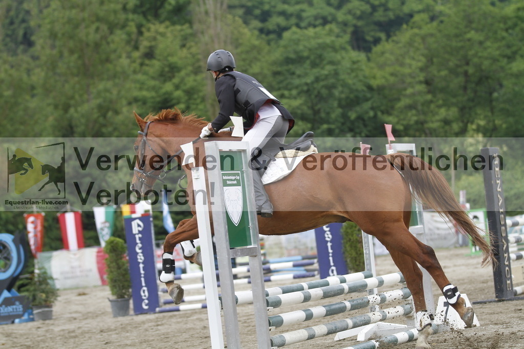 _MG_4436 | equestrian-live-com