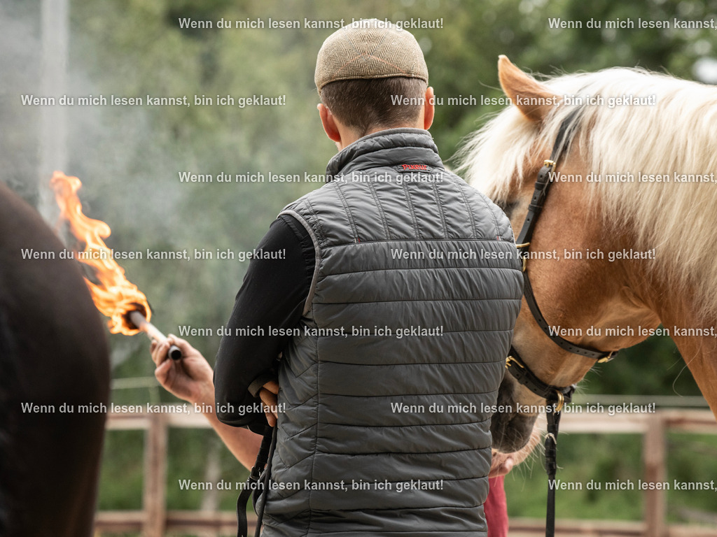 598A6018 | photographylinaismer - Realisiert mit Pictrs.com