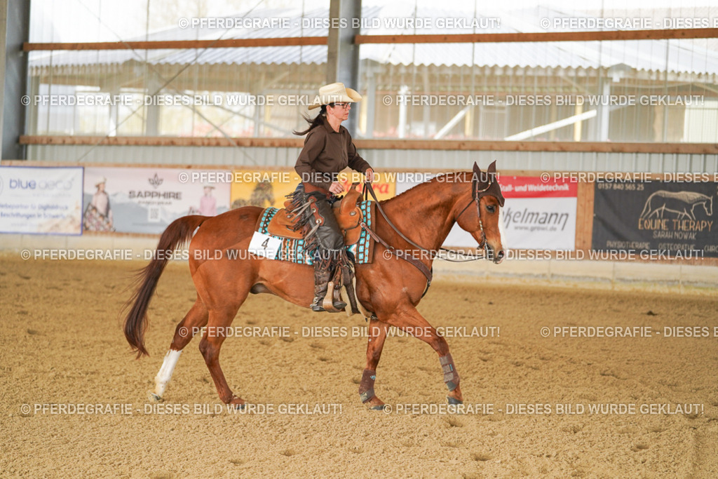 DSC02645 | Pferdegrafie