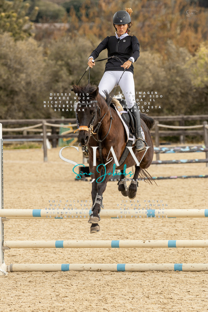 IMG_4543 | s-jay-photography - Realisiert mit Pictrs.com