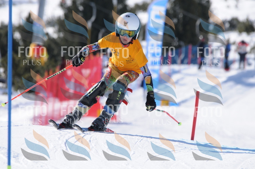 C7174 | holidayphoto