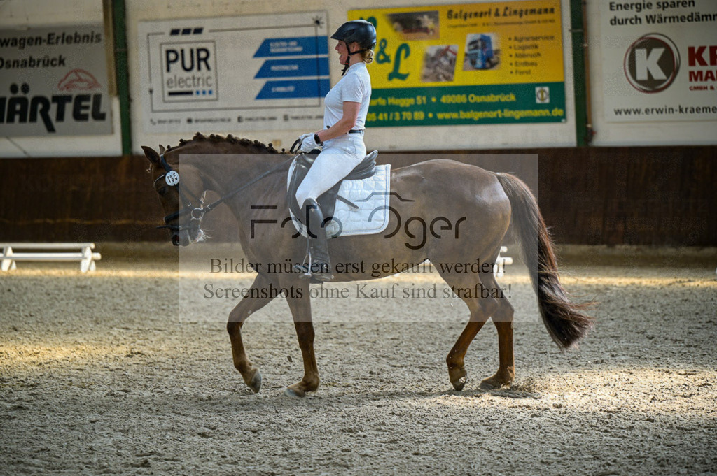 Reitturnier Voxtrup | Entdecke hochwertige Reitturnierfotos von Foto Oger. Professionell, emotional und authentisch – jetzt Lieblingsmomente im Shop bestellen.Deutschlandweite Turnierfotografie. - Realisiert mit Pictrs.com