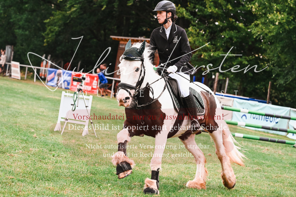 DSC_6247 | Pferde- und Turnierfotografie in Westsachsen. Pferdeportraits, Auftragszeichnungen und intuitive Kunst.
