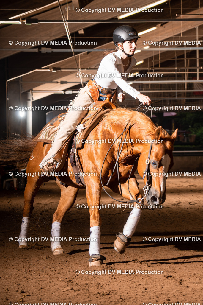 Erbach Tag 3-843 | dv-media-shop - Realisiert mit Pictrs.com