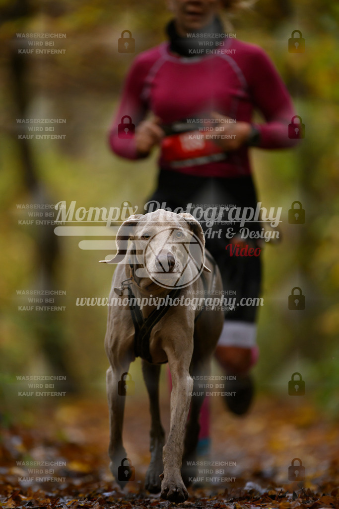 MompixPhotography_CD7S_DI_CCL-154 | mompixphotography