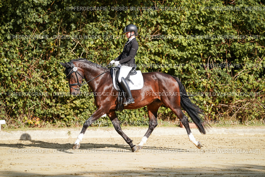 DSC07914 | Pferdegrafie